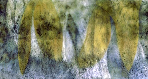 Luigia Cappello, "Esotica", 1988